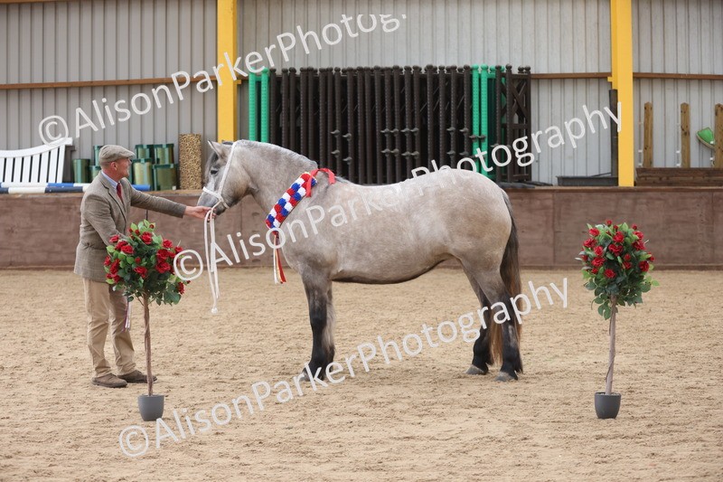 20251109-1239 - Supreme Championship