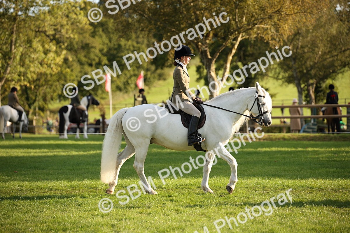 SBM_54373 - S27 - Mature Veteran - Ridden