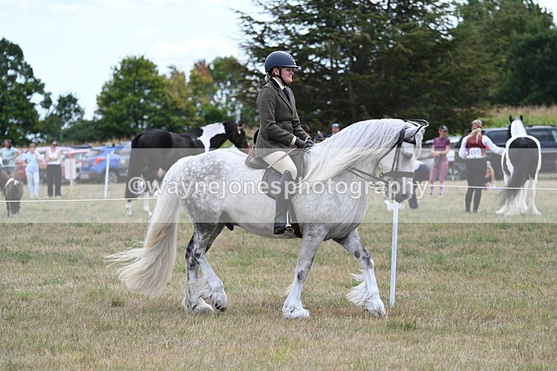 WJ7_4691 - Class 12 Ridden Cob