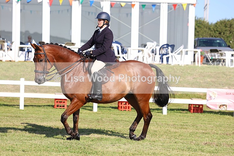 3E7A5490 - Class 2: Rising Star Large Hack/Riding Horse