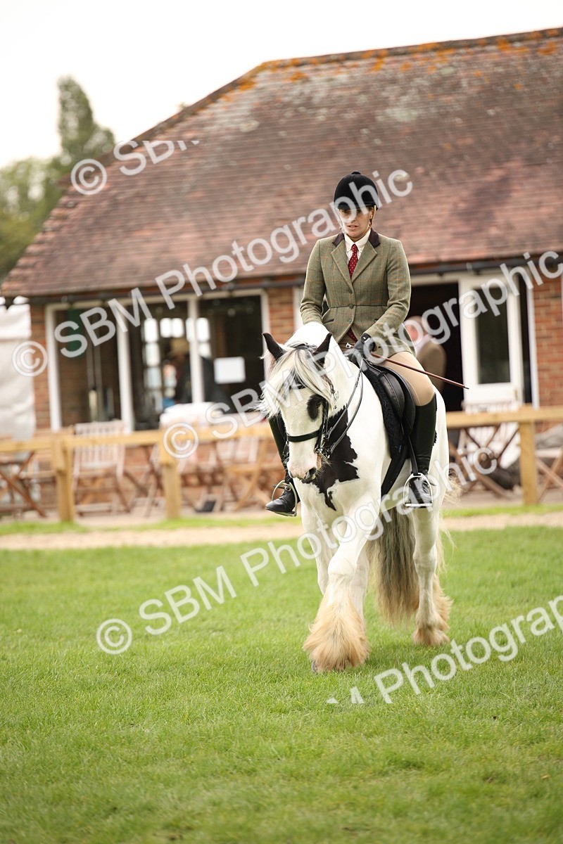 SBM_73542 - S68 - Traditional Cob Ridden