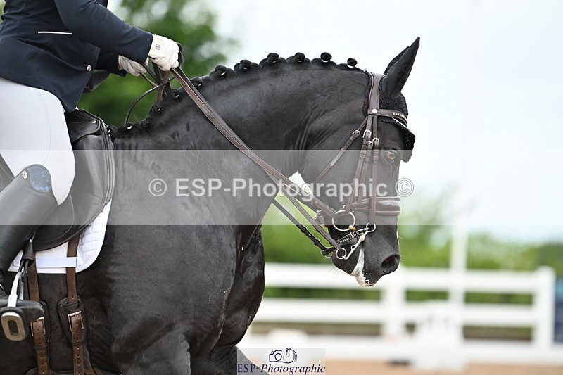 240623A-163530-19968 - Cls 54 BD Medium 73