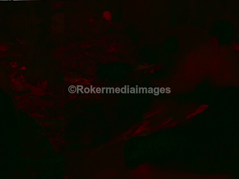 CHINA__0061 - China 2019