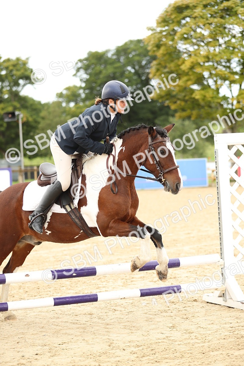 SBM_01991 - J34 - Veteran Rider 50cm