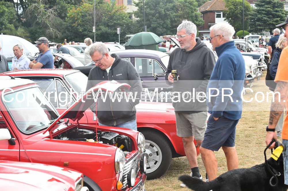 SH4_8823 - Torbay Old Wheels Club