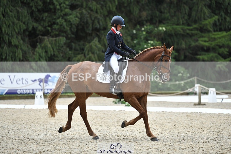 230525-125414-02051 - 112-BILLY_MAPLE-Kitty_King-WEDTrotUp+DR