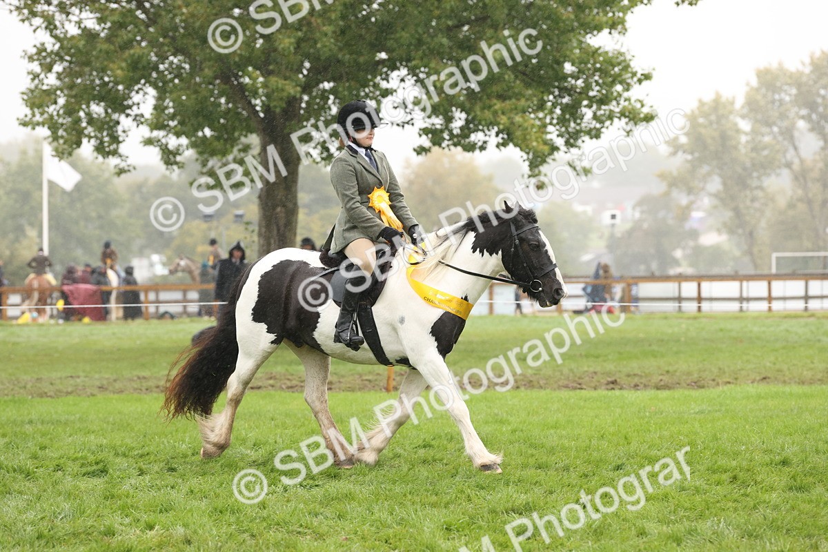 SBM_72893 - Ridden Horse Supreme Championship