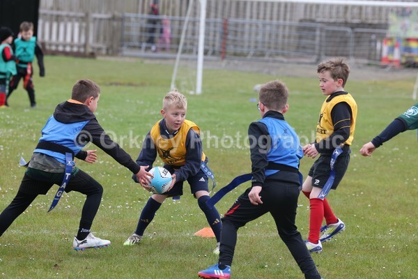 DAD22355 - Rookies/Mini Rugby on 7s Day