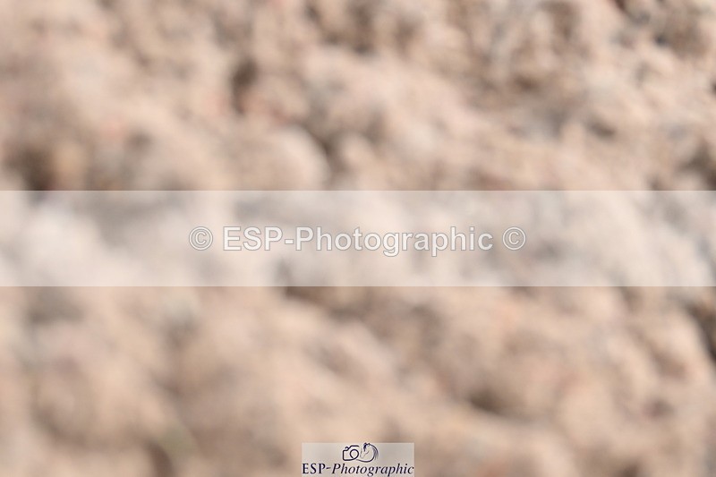 240622A-092413-06791 - Cls 23 BD Prelim 19