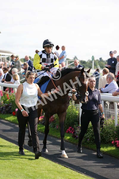 yr18082021r5-26 - Race 5 4.10pm Sky Bet Stakes