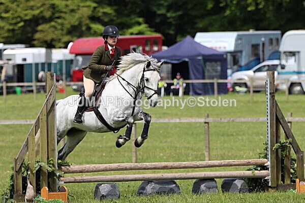 IMG_3115 - Working Hunter