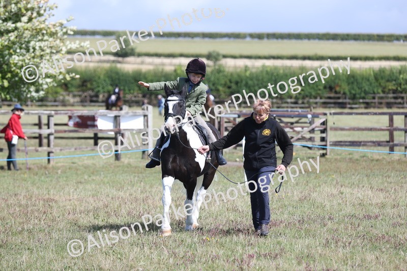 20250831-2503 - Class 16 - Family Pony