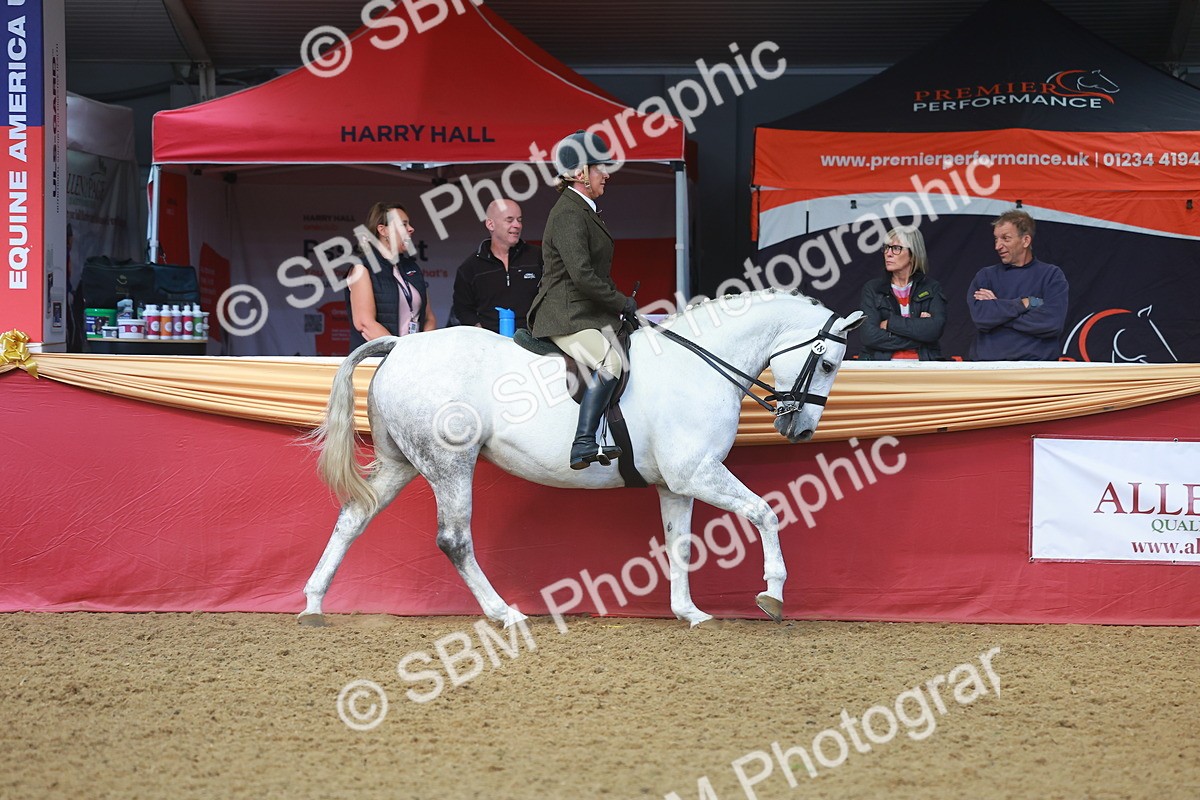 SBM_10548 - Class 103 - HOYS Veteran Qualifier - Ridden Pre Vet