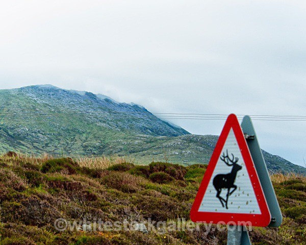 Target Practice Bullet Holed Sign! - Scottish Highlands