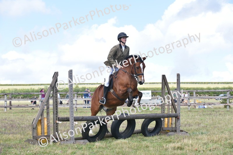 20250831-4011 - Class 12 - Working Hunter Pony 14.2hh and Under