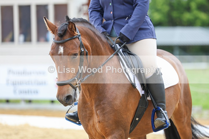 3E7A5152 - Class 2: Intro 4 2024 section B