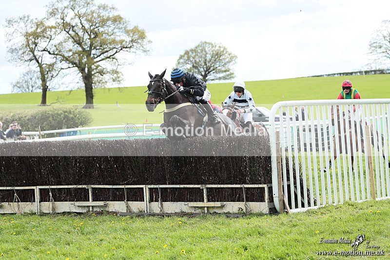 PtP 180426 494 - Worcestershire Hunt PtP Chaddesley Corbett 18/04/26
