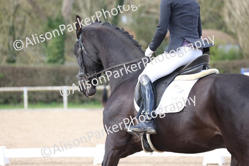 20260301-0739 - Class 4 - Novice 5