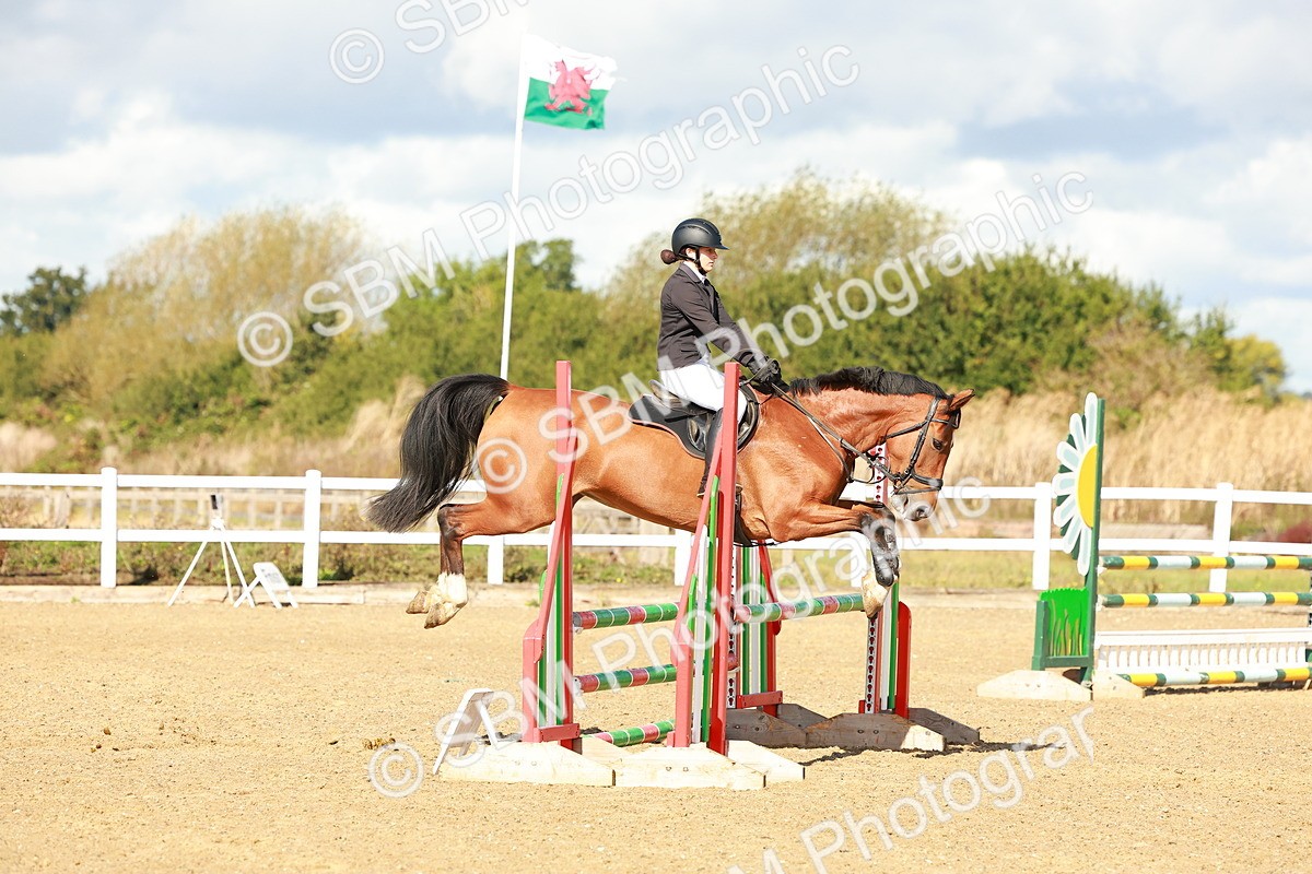 SBM_000501 - Class 2 - Senior British Novice - 90cm