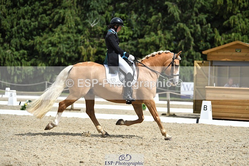 230812-142345-04692 - Cls 7 FEI PSG Bronze