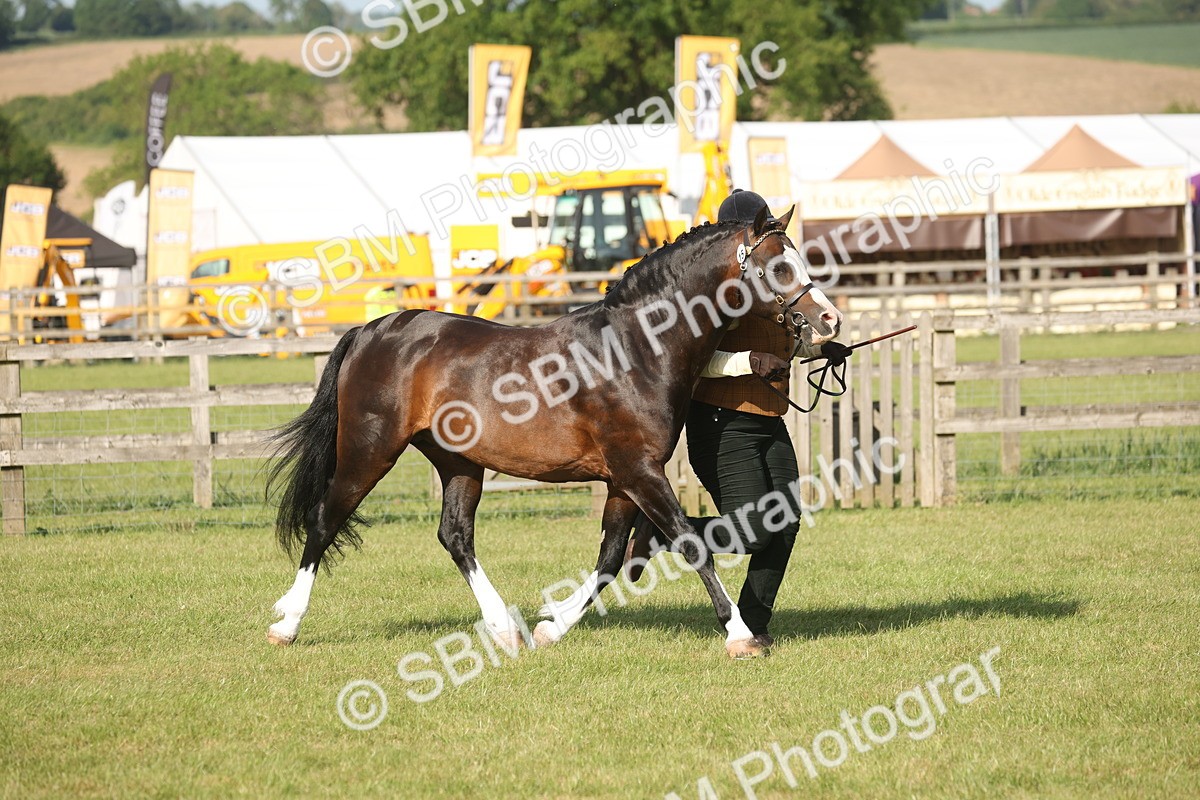 SBM_10383 - Class 33-38 - SSADL RIHS Qualifiers