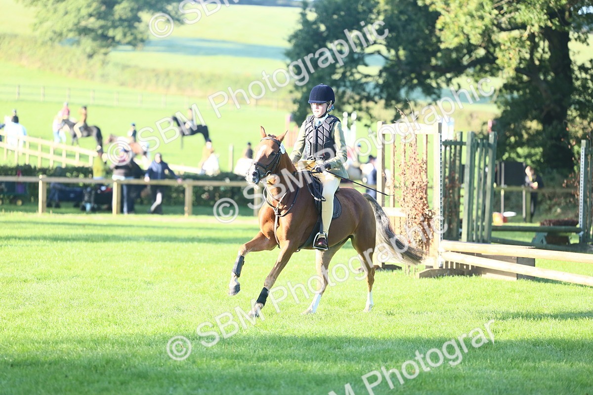 SBM_33381 - S28 - Nursery Stakes Working Hunter Pony