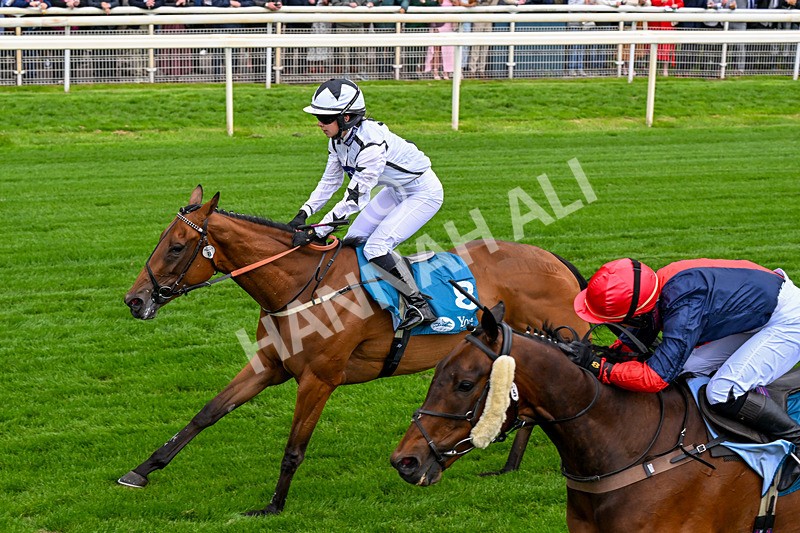 130626-Race 1-Dunkeld Dreamer-0335 - Race 1 13.50pm Queen Mother's Cup Handicap