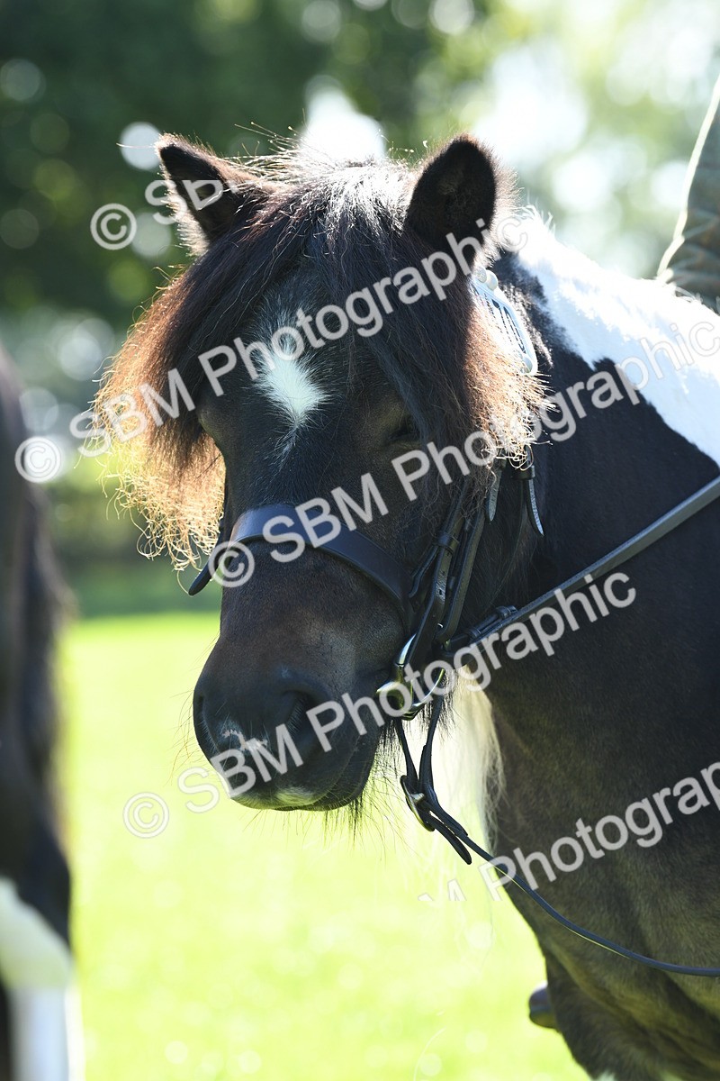 SBM_39633 - S18 - Novice & Newcomers Lead Rein Pony