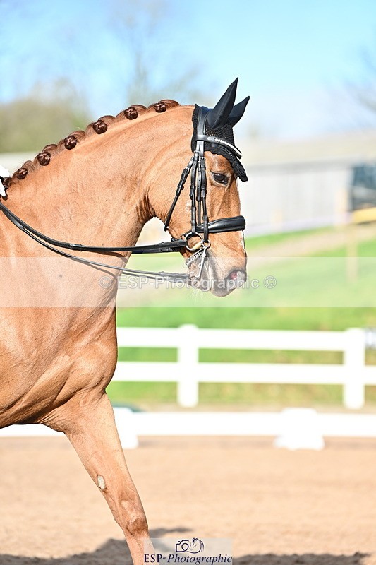 240218A-144845-08225 - 219-Jessica.Davies-Kadanz.II