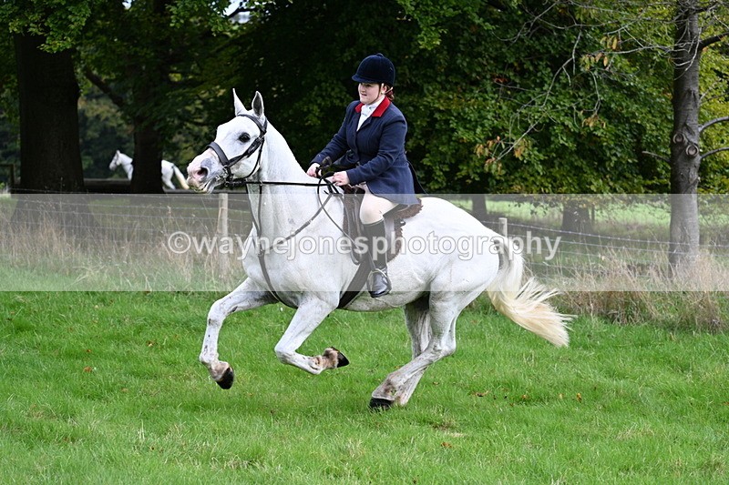 WJ7_4705 - Camera 1 Line 3