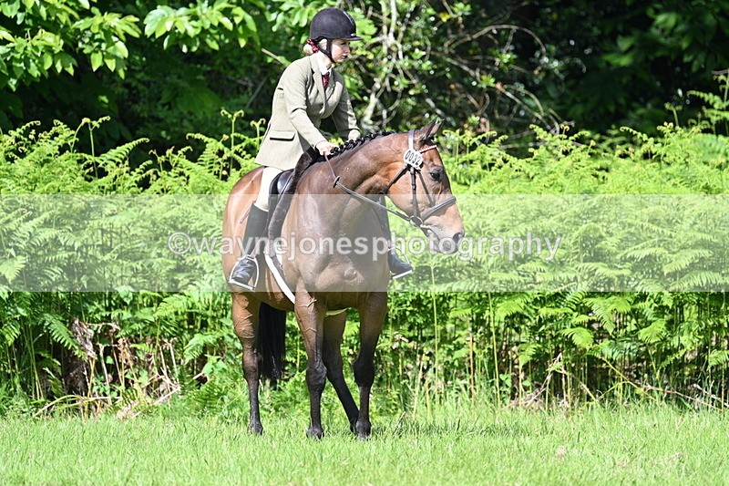 WJ7_1159 - Class 11 Condition & Turnout