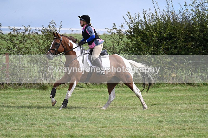 WJ7_6302 - Time 11:29 to 11:45