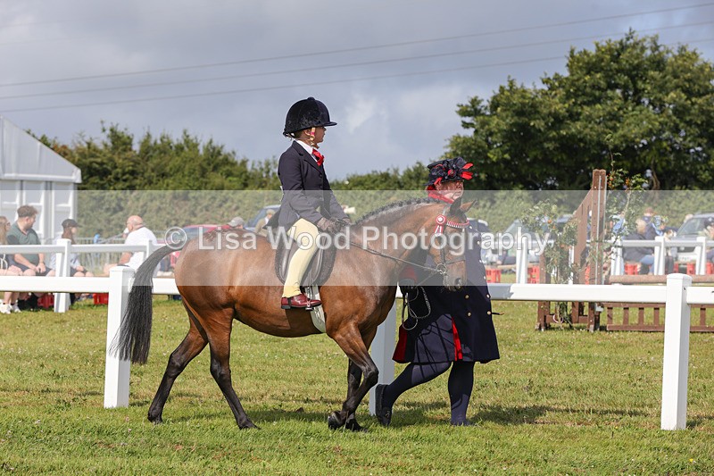 1X9A3563 - Class 29: Lead Rein SP/SHP