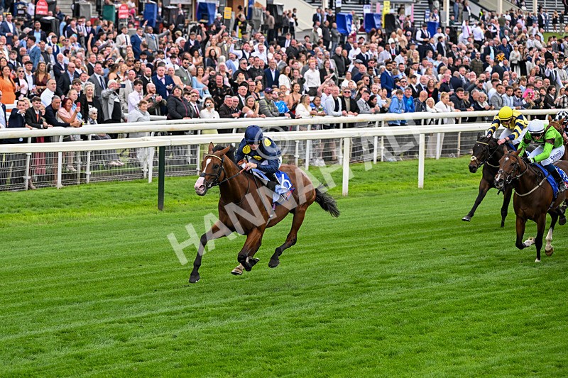 130626-Race 2-Extremely Zain-0897 - Race 2 14.25pm Sky Bet Supporting Macmillan Handicap
