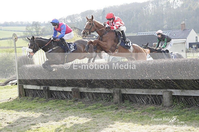 PtP 080423 768 - Dingley Races The Woodland Pytchley Hunt PtP 08/04/23