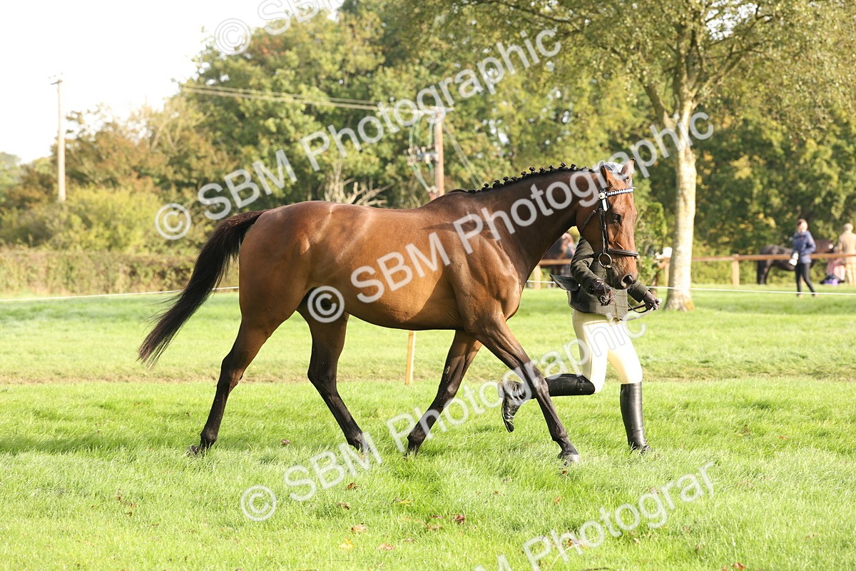 SBM_54676 - S53 - Hunter In Hand