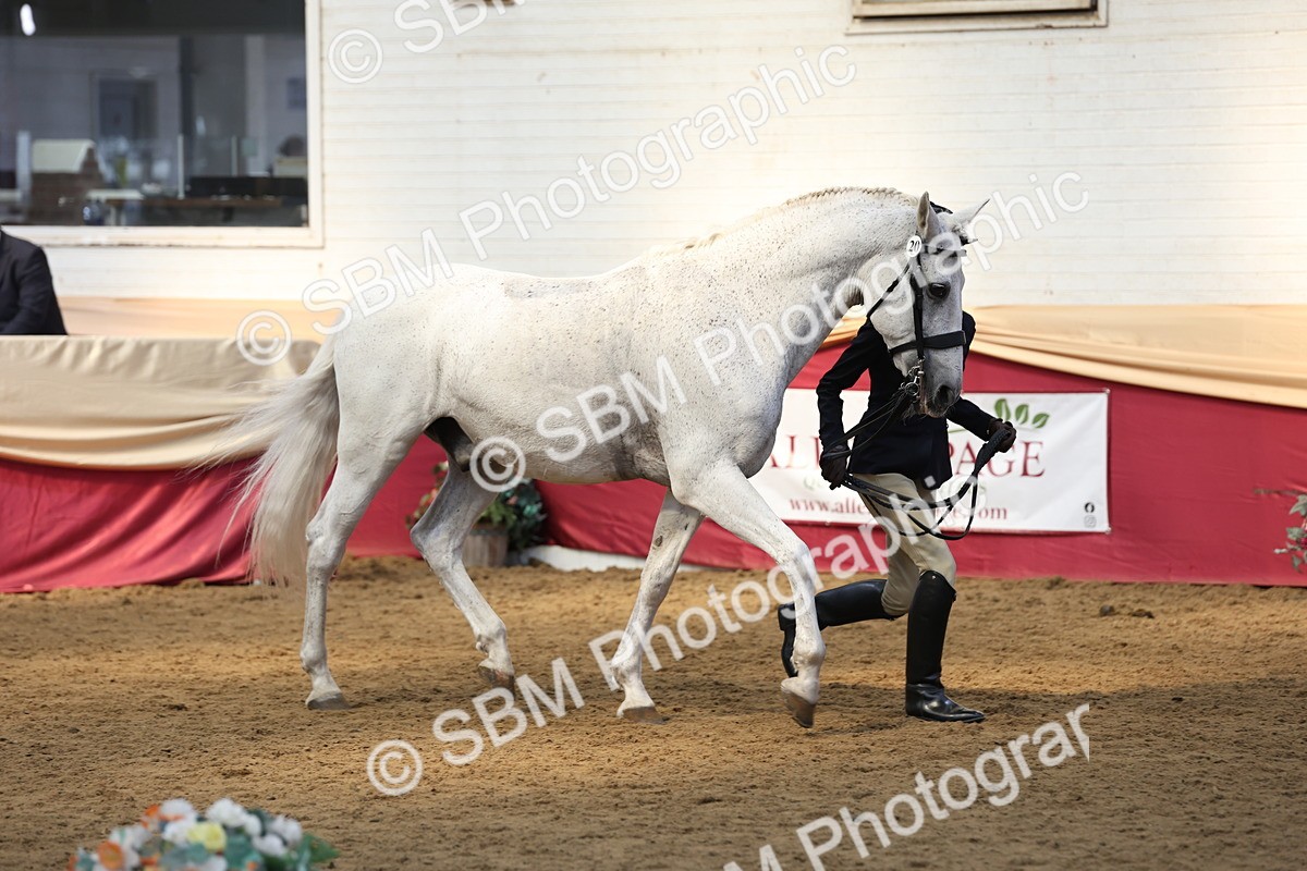 SBM_24153 - Class 905 - Supreme Final - Ridden Veteran