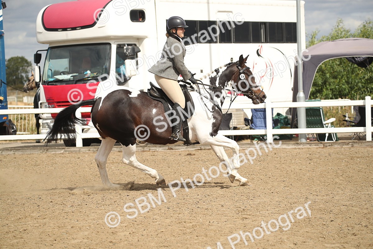 SBM_15237 - Class 506a - Working Veteran - 50cm (15-19)