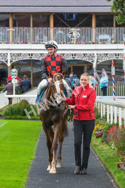 150723-Race 1-Blue For You-0101 - Race 1 2.00pm John Smith's Racing Handicap