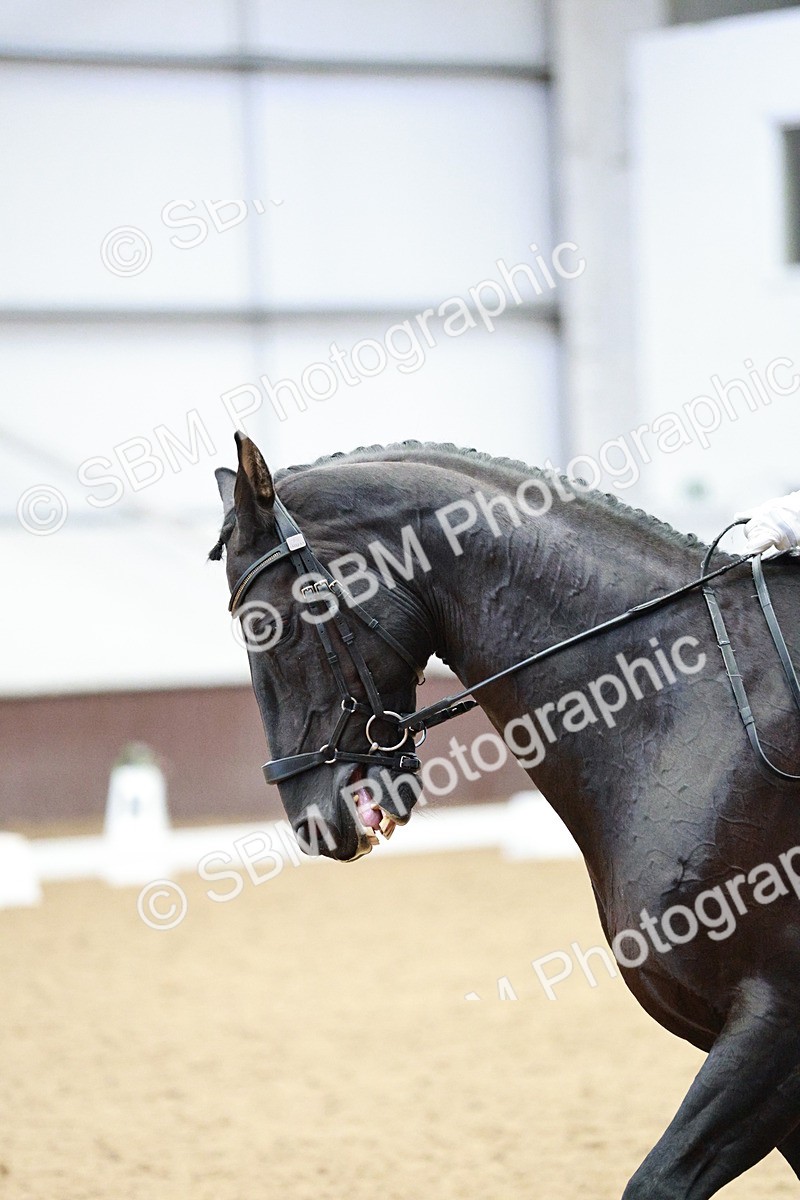 SBM_006452 - Class 16 - Advanced Medium 5 - 16.02-17.22