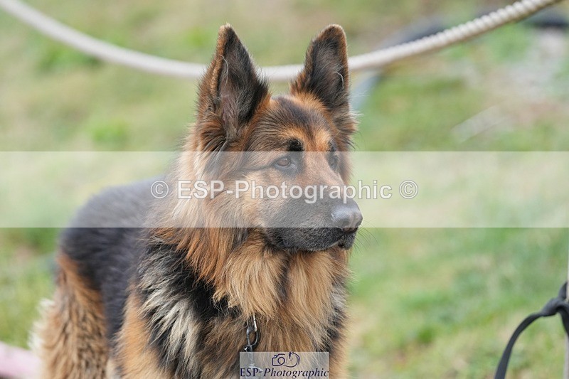 250727-142647-10756 - Cls 27 NAF Silver League Jump Off and Presentations