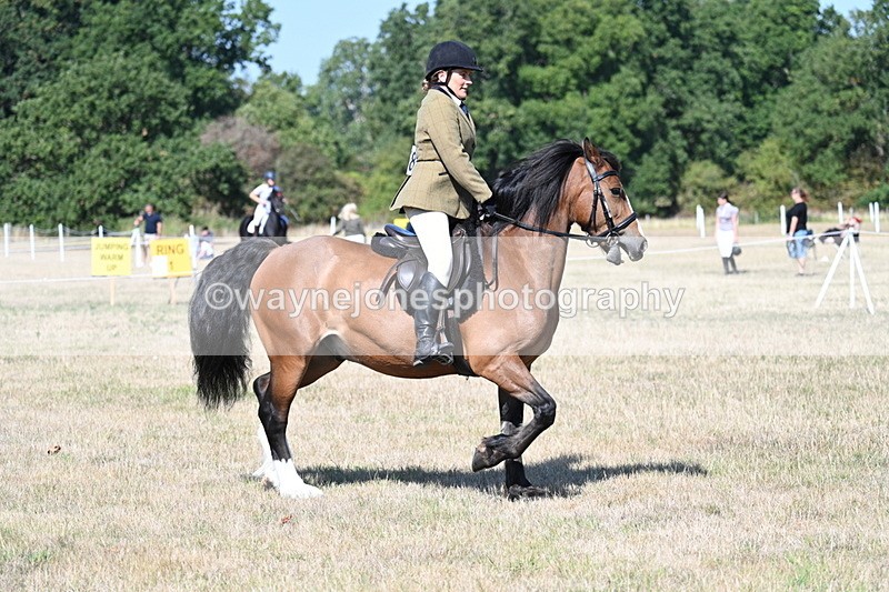 WJ7_3769 - Class 9 Mountain & Moorland Ridden
