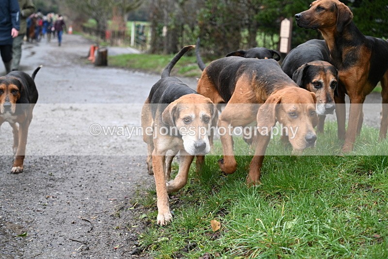 WJ7_9377 - Walk out..