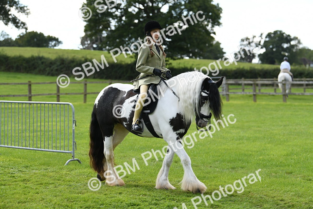 SBM_46705 - S12 - Family Horse & Pony