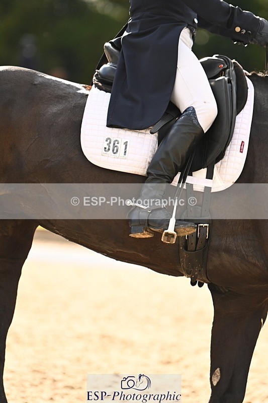 231021-152106-21119 - 361-ELLIES.CANDY.GIRL-Carolyne.Ryan-Bell-DR