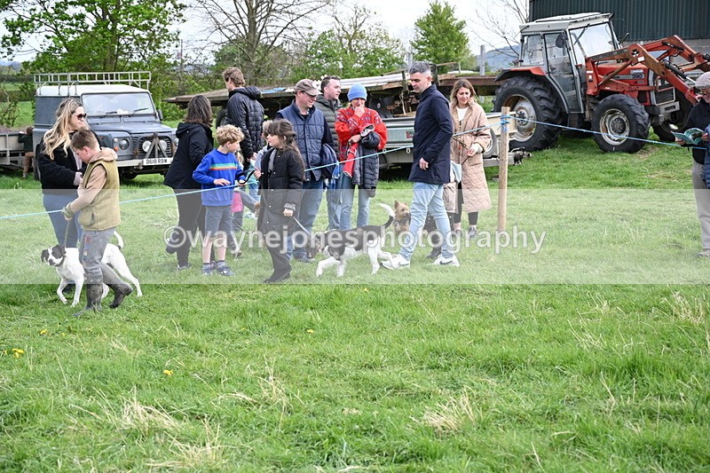 WJ6_8526 - Class 6 Best Rescue