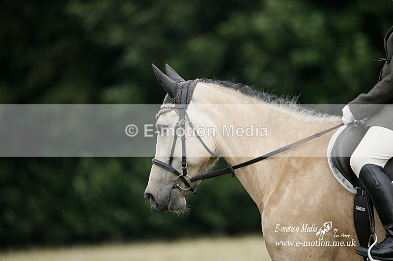BVRC 030721 326 - Bourne Valley Riding Club Dressage 03/07/21