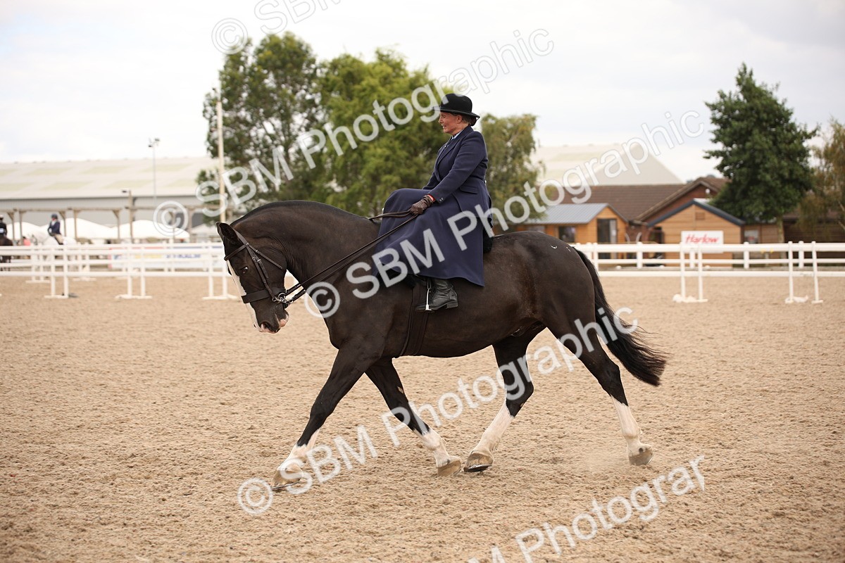 SBM_05461 - Class 22 SSA Equitation