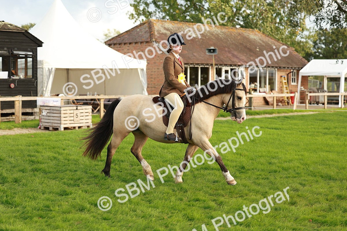SBM_28931 - S7 - Novice & Newcomer Ridden Pony