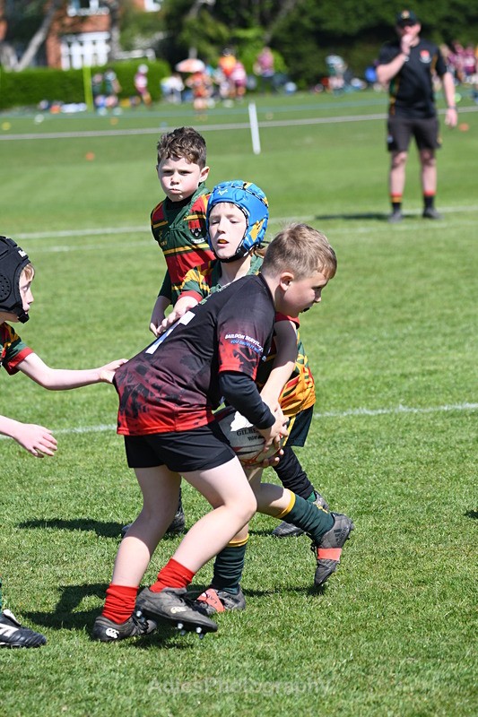  - Selby Rugby Festival 2025